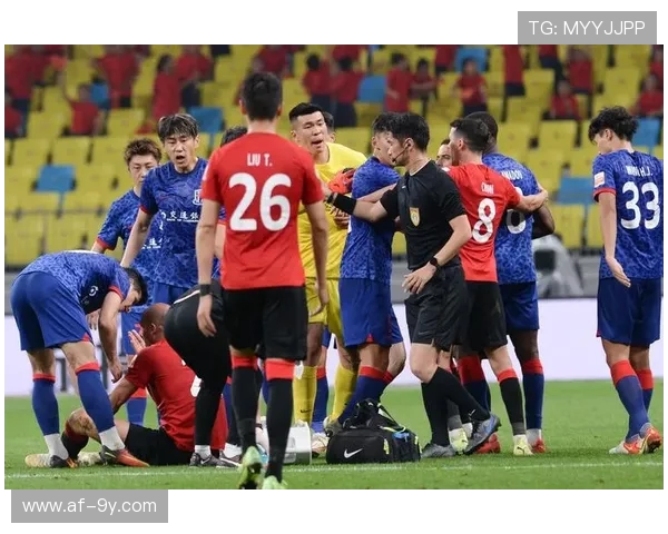 决赛惜败冠军心有不甘奋斗不止为荣耀再出发